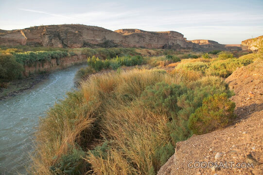 River Runs Through a Desert