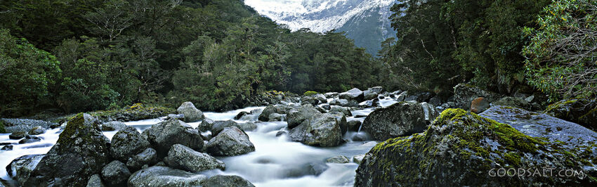 Rocky River Lined With Trees