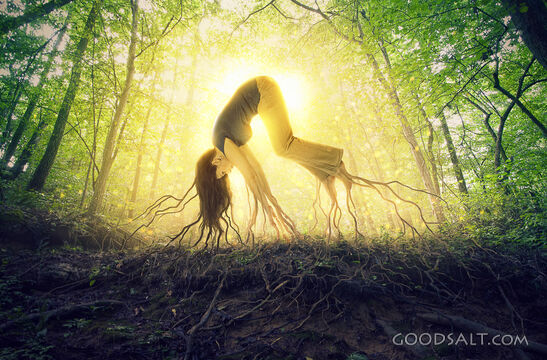 Rooted to the Ground