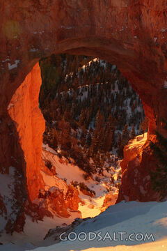 UTAH. Bryce Canyon National Park. Sunrise on Natural Bridge 