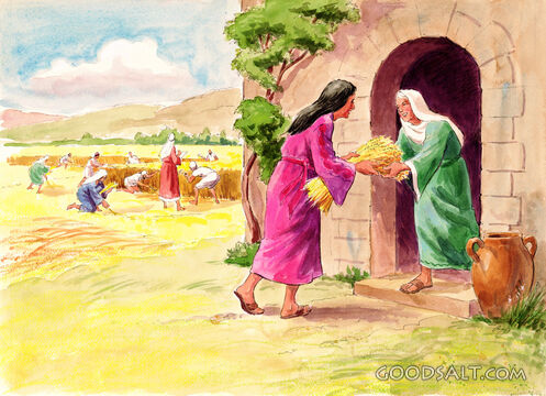 Ruth Shares With Naomi