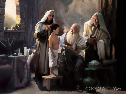 Saint Luke the Gospel Physician 