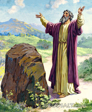 Samuel the Victorious Leader