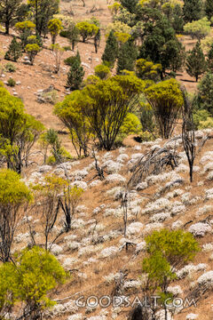 scenery of Flinders Ranges