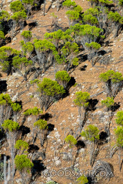 scenery of Flinders Ranges