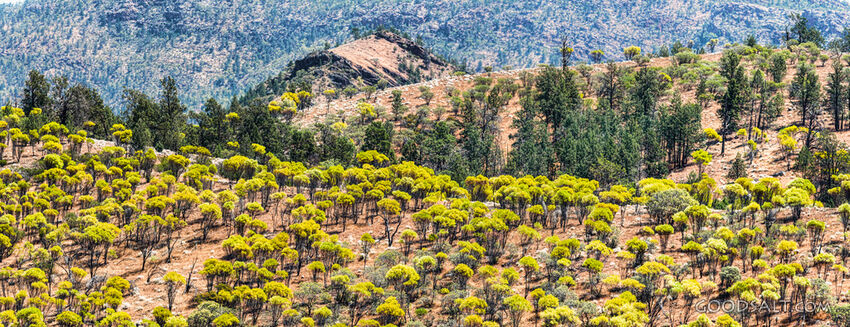 scenery of Flinders Ranges
