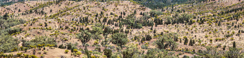scenery of Flinders Ranges