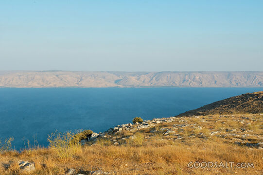 Sea of Galilee and Hippos From West