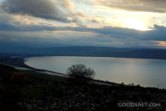 Sea of Galilee Southern End From East B