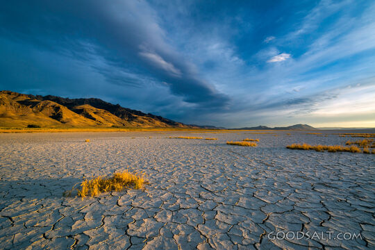 September Alvord Desert