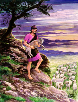 Shepherd and His Sheep