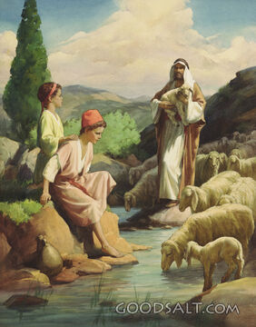 Shepherd and Sheep
