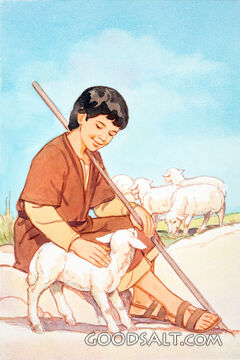 Shepherd Boy