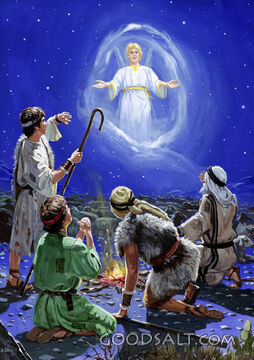 Shepherds in the Field