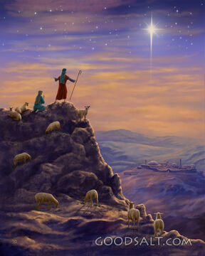 Shepherds on Hilltop D