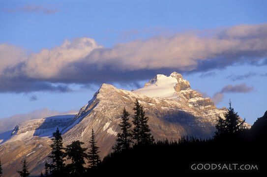 Silhouett of Trees With Snow Covered Mountain and Gray Cloud