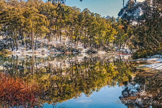 Snow and trees on the other side of a lake are reflected in its waters.