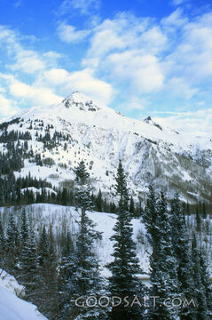 Snow Covered Mountain With Trees and Clouds