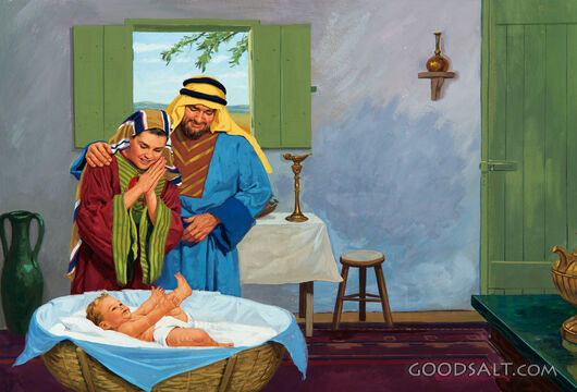 Son Born to Woman of Shunem