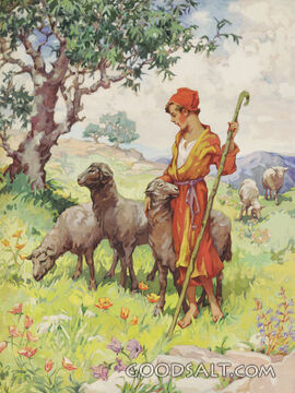 Springtime in Palestine