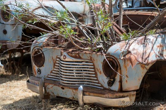 Standard Motors small car in wrecking yard.