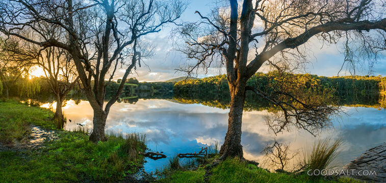 Still waters of a lake between bare twisted trees.