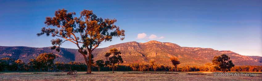 stunning country scenery with trees in fields and distant rocky mountain range.