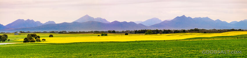stunning country scenery with trees in fields and distant rocky mountain range.