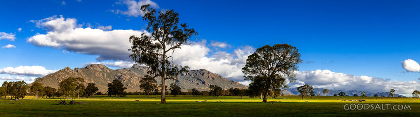 stunning country scenery with trees in fields and distant rocky mountain range.