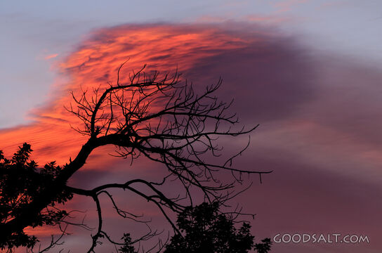 Sunrise in the High Desert