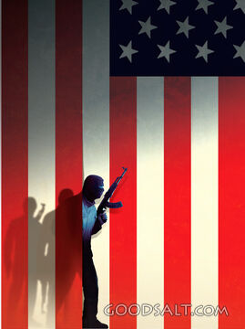 Terrorism in America