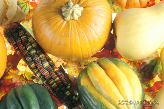 Thanksgiving Harvest