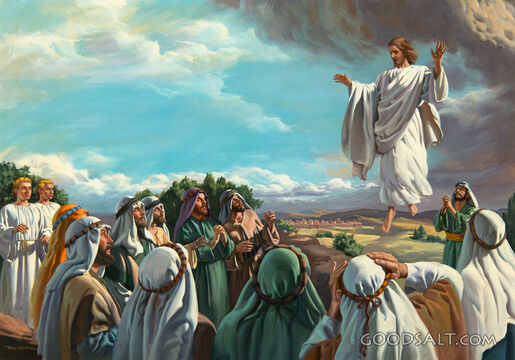 The Ascension, Disciples Watch