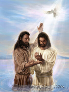 The Beloved Son