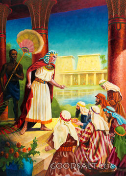 The Brothers Before Joseph Who Pretends not to Know Them