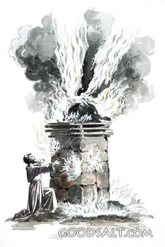 The Fire of the Lord Consumes the Offering
