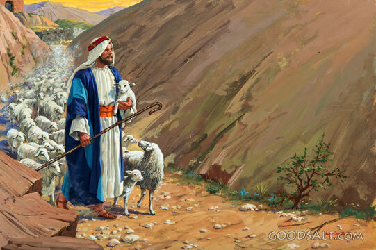 The Good Shepherd -  Leads His Sheep