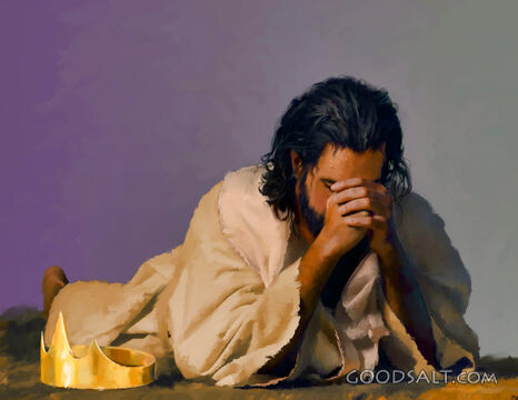 The King's Contrition