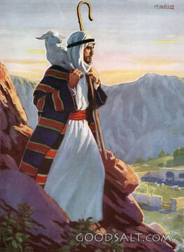 The Lamb That Was Lost