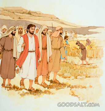 The Lesson of the Harvest