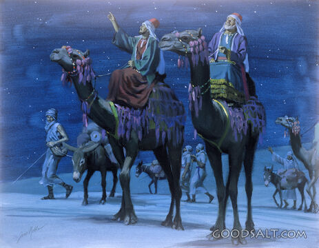 The Magi Visit Jesus