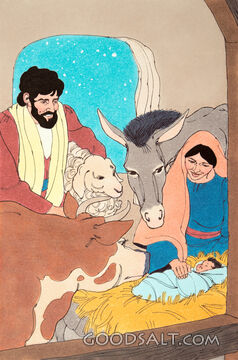 The Manger of Bethlehem