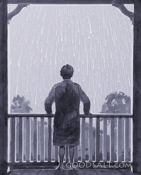 The Night the Stars Fell