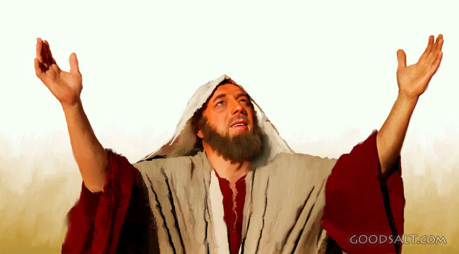 The Prophet