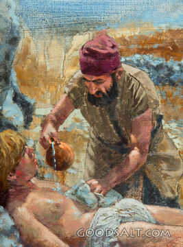 The Samaritan
