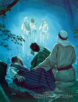 The Transfiguration