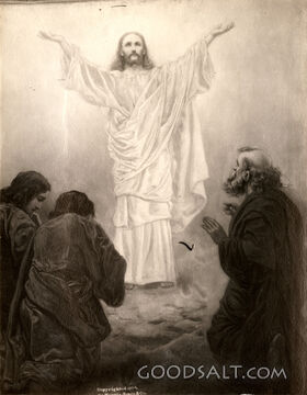 The Transfiguration