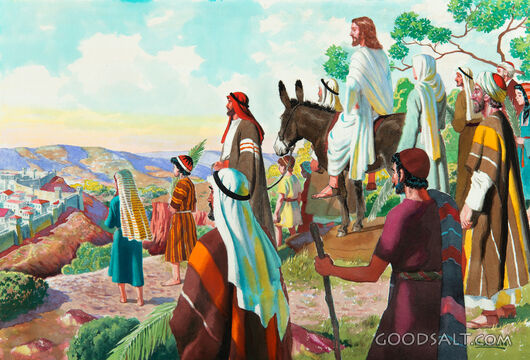The Triumphal Entry - Viewing the Temple