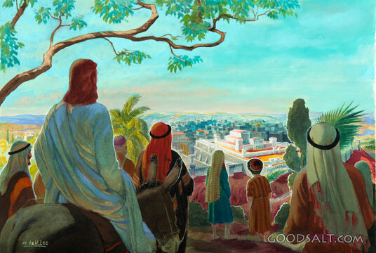 The Triumphal Entry - Viewing the Temple