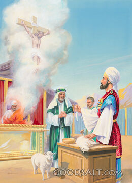 The True Meaning of Sacrifice